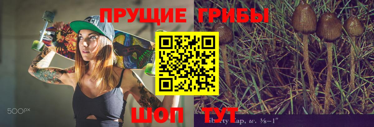 Псилоцибиновые грибы ЛСД Унеча