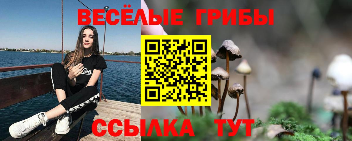 сколько стоит  Галлюциногенные грибы мухоморы  Унеча  Вход с VPN  Галлюциногенные грибы Psilocybine cubensis 